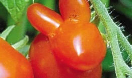 吃瓜娱乐圈大瓜,揭秘明星背后的惊人真相